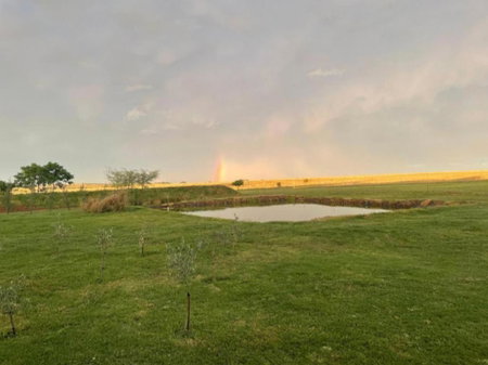 OLYF accommodation, Bloemfontein, South Africa