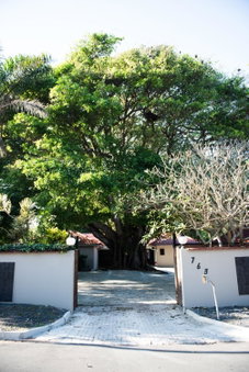 Tropical Beach Boutique Guesthouse, Shelly Beach, South Africa