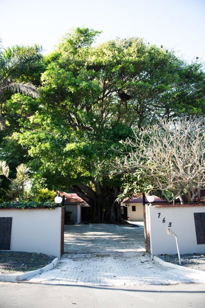 Tropical Beach Boutique Guesthouse, Shelly Beach, South Africa