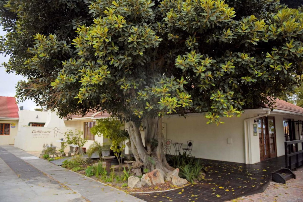 Dolliwarie Guesthouse, South Africa