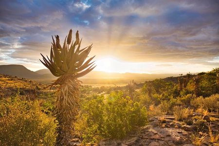 Wild Olive Cottage, Graaff-Reinet, South Africa
