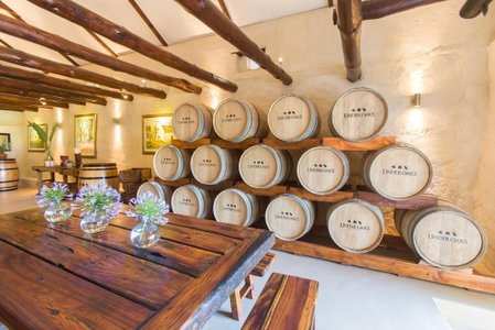 Under Oaks Guesthouse, Paarl, South Africa