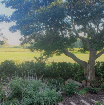La Rochelle, Wellington, South Africa
