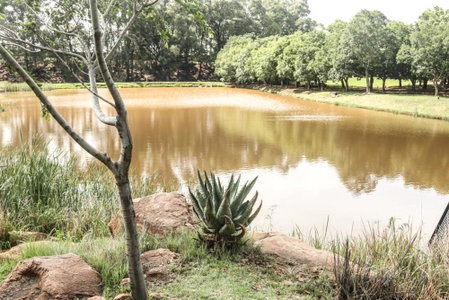 Heidelberg Kloof Lodge, Heidelberg, South Africa
