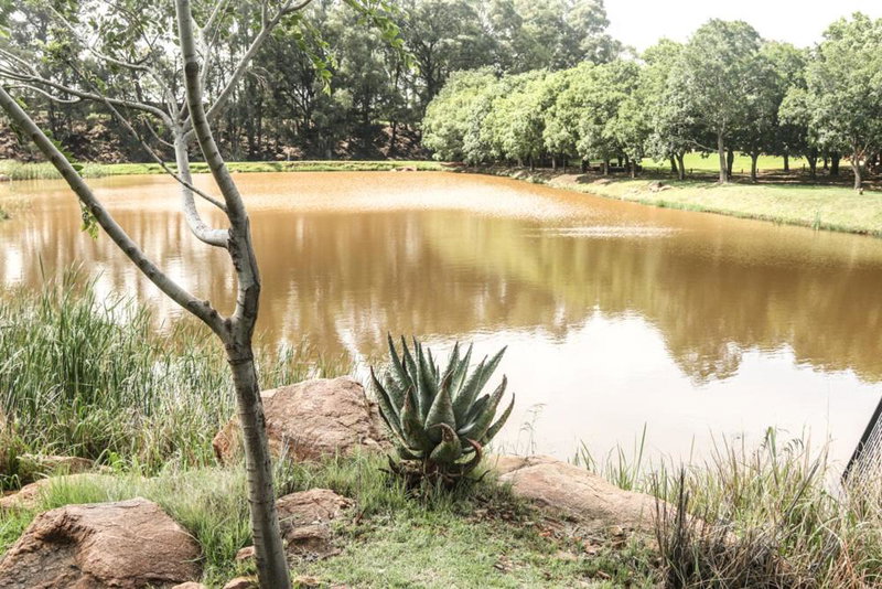 Heidelberg Kloof Lodge, Heidelberg, South Africa