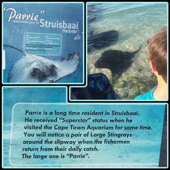 C-Pampoentjie, Struisbaai, South Africa