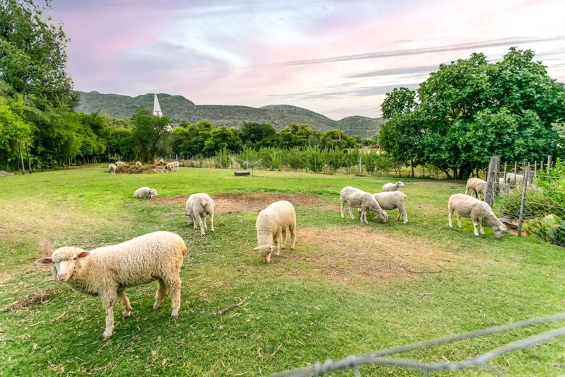 Die Fonteine Country Guesthouse and Glamping, Oudtshoorn, South Africa
