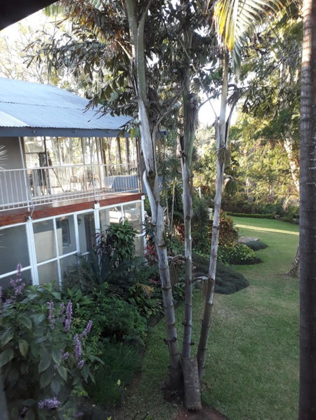 St George's Guest House, Tzaneen, South Africa