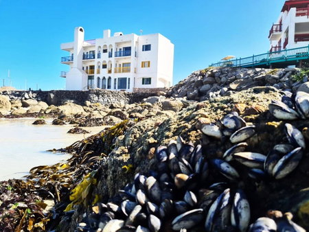 Raaswater Langebaan Self Catering, Langebaan, South Africa