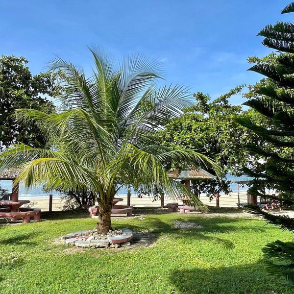D's Oceanview Beach Resort, Siquijor, Philippines
