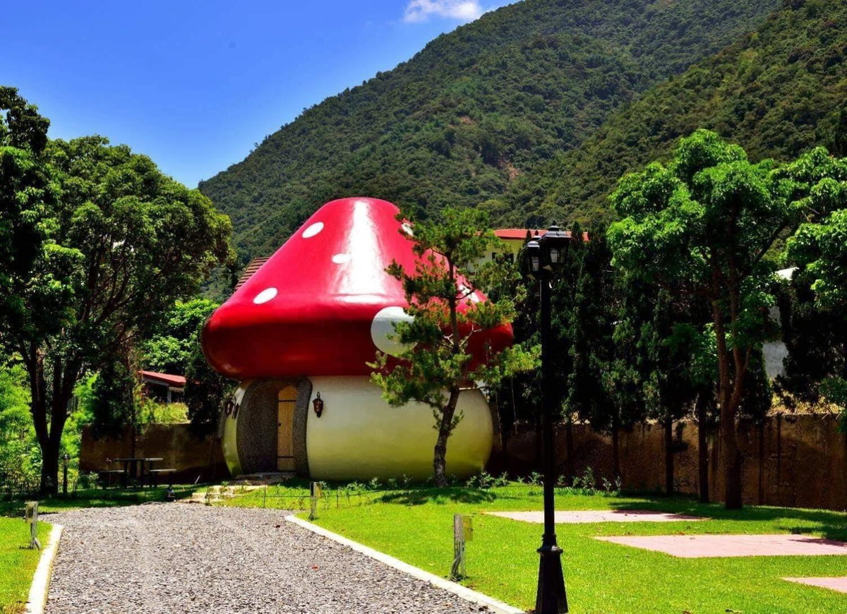 Mushroom Forest Guesthouse Camping Site, Taiwan