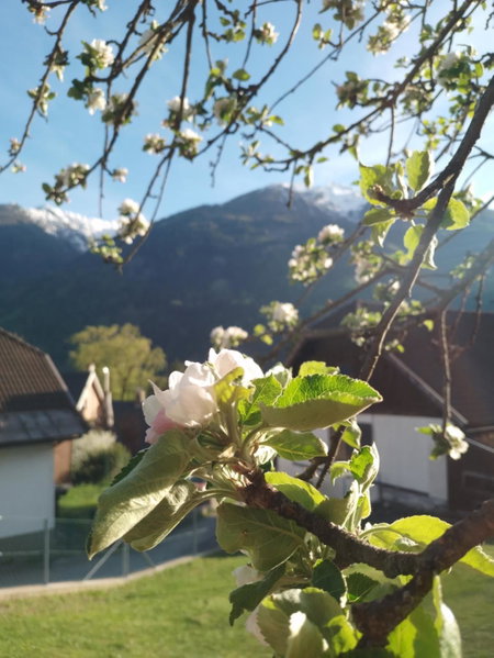 Ferienhaus Herrenschmiede, Obervellach, Austria