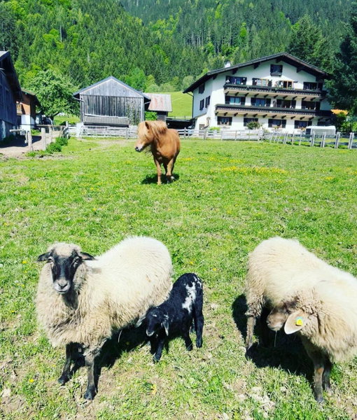 Hettlerhof, Maishofen, Austria