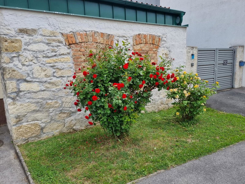 Ferienhaus RADO, Winden am See, Austria