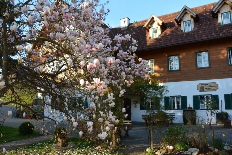 Weingut Seiner vlg. Kraxner, Greisdorf, Austria