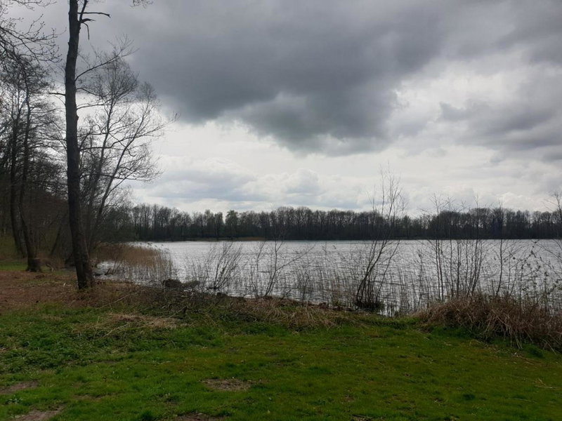 Ruunerwoldse Stekkie met eigen badkamer, Ruinerwold, The Netherlands