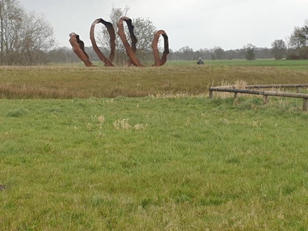 Ruunerwoldse Stekkie met eigen badkamer, Ruinerwold, The Netherlands