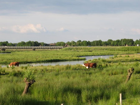b&b de Vlinder, Hardenberg, The Netherlands