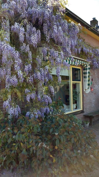 b&b de Vlinder, Hardenberg, The Netherlands