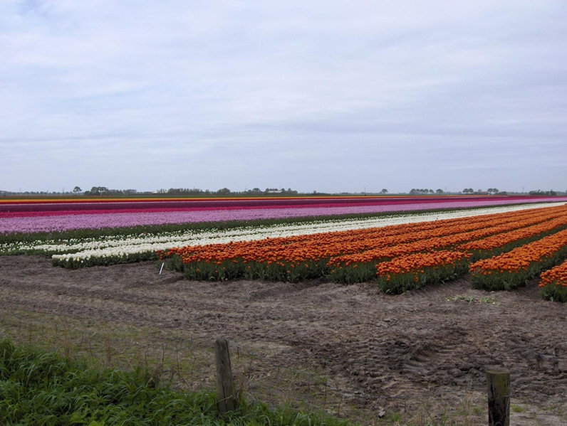 Het Burgemeestershuis, Barsingerhorn, The Netherlands