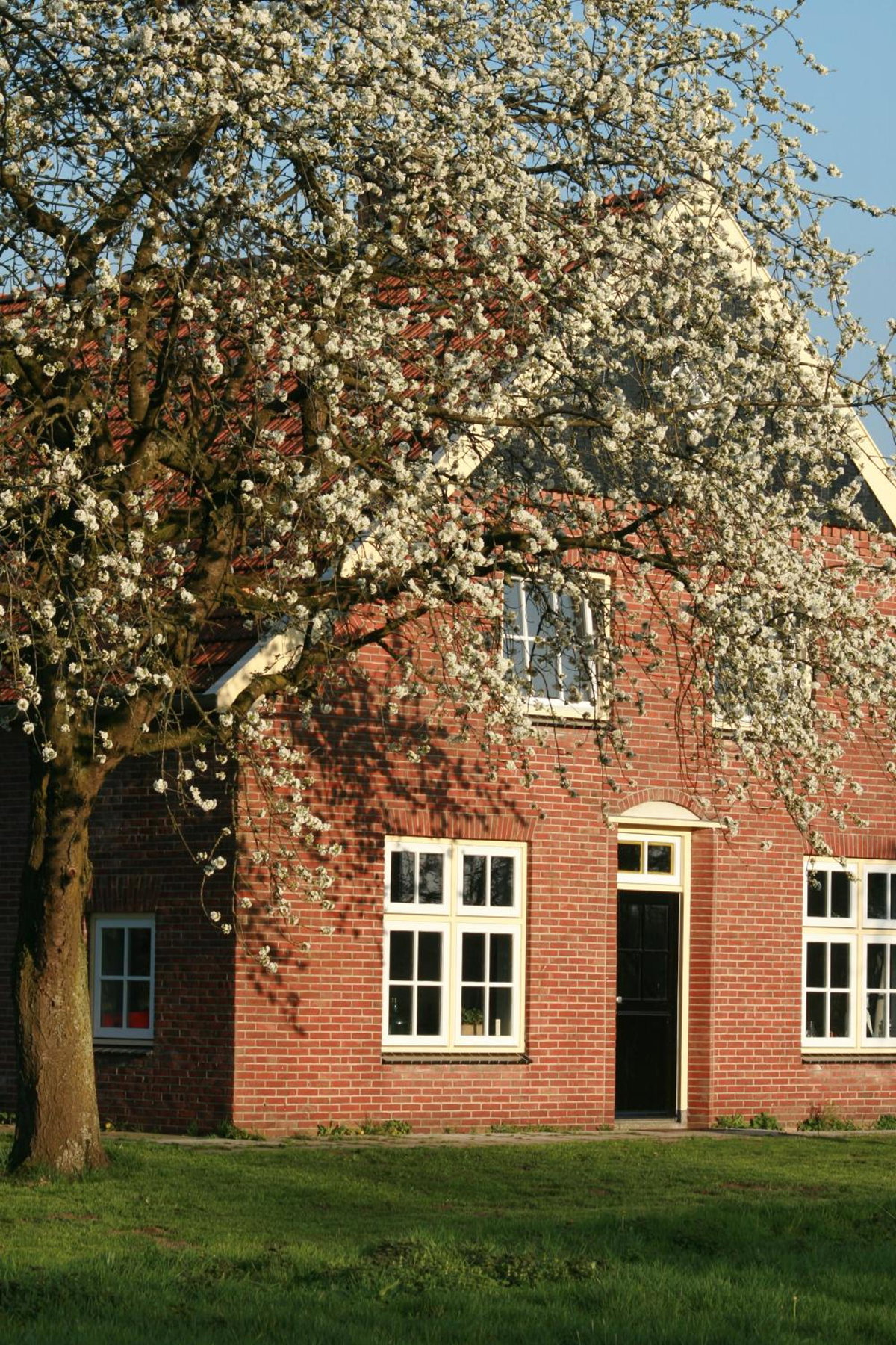 B&B Erve ten Dam, The Netherlands