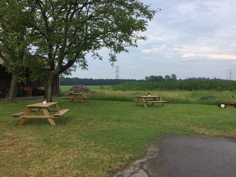 B&B Erve ten Dam, Ambt Delden, The Netherlands