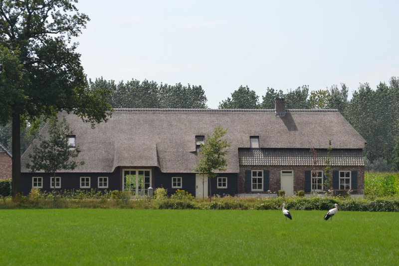 Bed & Breakfast de Bimd Hoeve, De Bus, The Netherlands