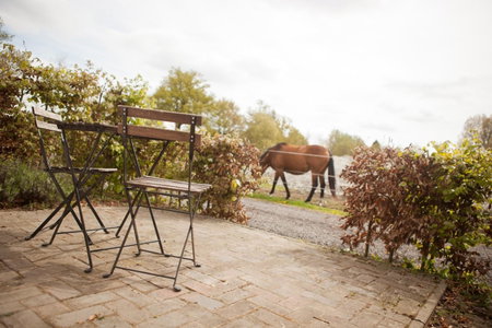 Bed & Breakfast de Bimd Hoeve, De Bus, The Netherlands