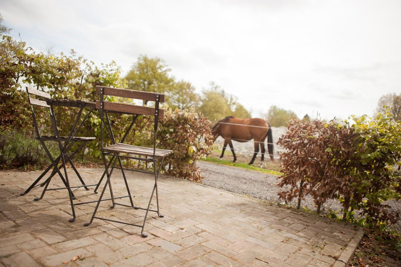 Bed & Breakfast de Bimd Hoeve, De Bus, The Netherlands