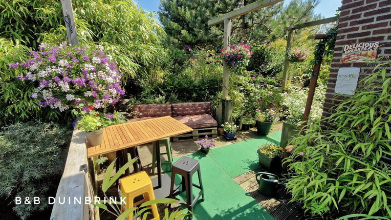 B&B Duinbrink, Den Helder, The Netherlands