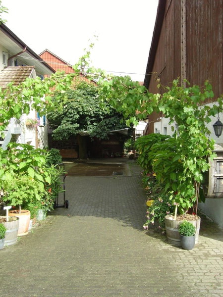 Rüedi - WeinFassHotel, Trasadingen, Switzerland