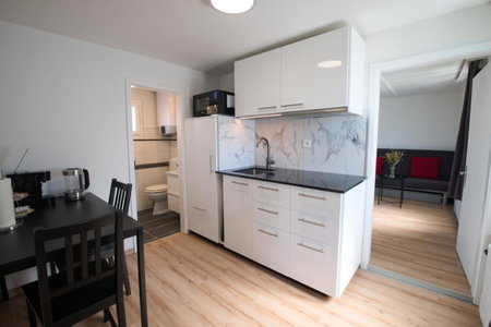 Lake Getaway Apartment with Private entrance, right on the Lake Constance cycle path, barbecue area, free wifi, Netflix and free bikes, Salmsach, Switzerland