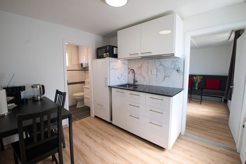 Lake Getaway Apartment with Private entrance, right on the Lake Constance cycle path, barbecue area, free wifi, Netflix and free bikes, Salmsach, Switzerland