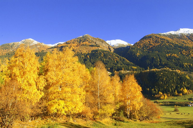 Hotel Chavalatsch, Müstair, Switzerland