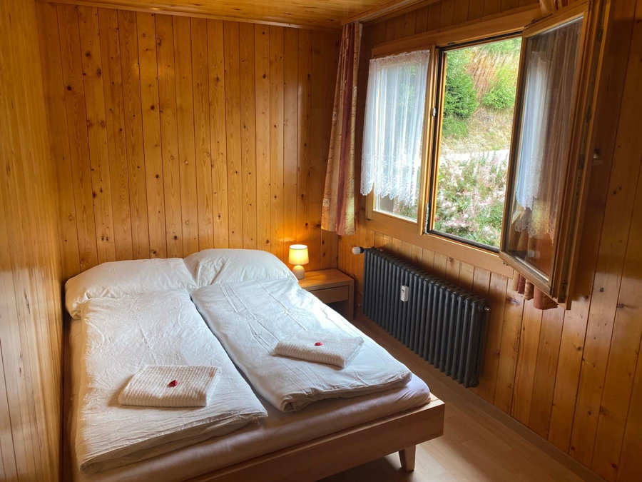 Chalet Diana - Spacious flat - Village core - South facing - Ski-in/Ski-out, Bettmeralp, Switzerland