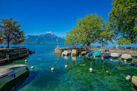 Tropical studio with a balcony - Lake View, Montreux, Switzerland