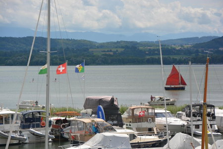 Leben im Hafen am idyllischen Murtensee, Guévaux, Switzerland