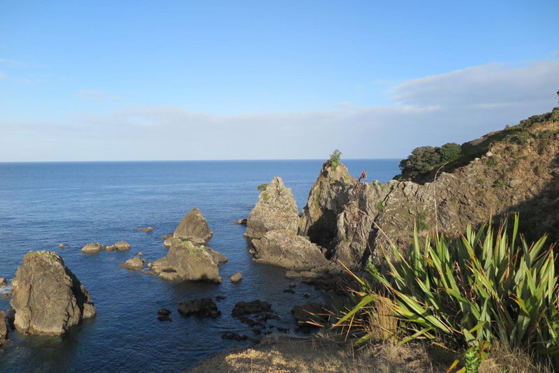 Kakariki Rooms, Kotare House, Tawharanui, New Zealand
