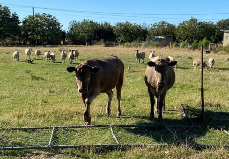 Country Retreats on Ranzau 7, Hope, New Zealand