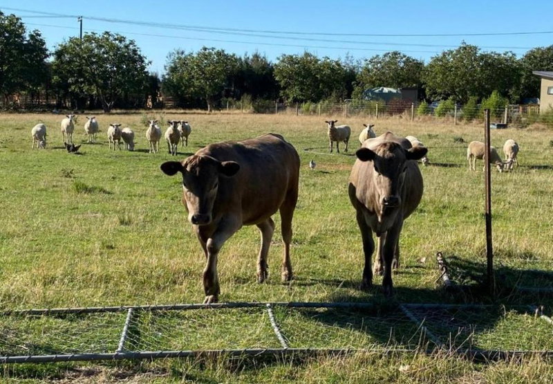 Country Retreats on Ranzau 7, Hope, New Zealand