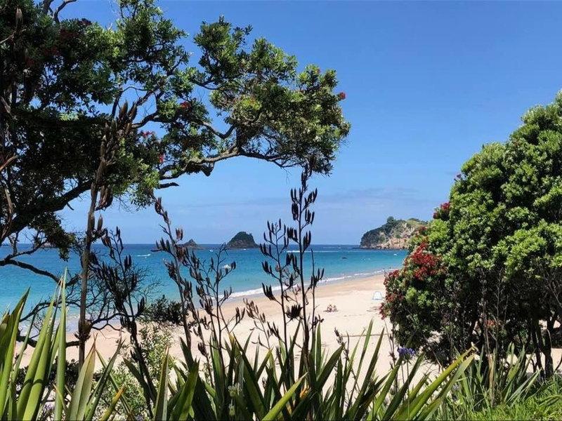 Hahei Beach House - 3 Bedroom, Hahei, New Zealand