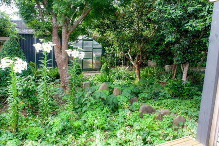 The Alchemist Retreat, Private Studio in Carterton, Carterton, New Zealand