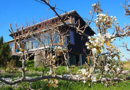 Kotare BandB, Geraldine, New Zealand