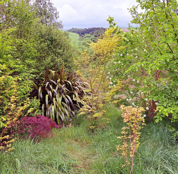 Kotare BandB, Geraldine, New Zealand