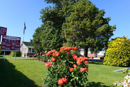 Classic Motel, Hamilton, New Zealand
