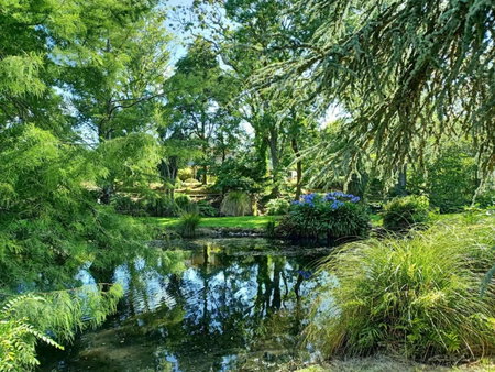Rose & Stream Retreat, Waikuku, New Zealand
