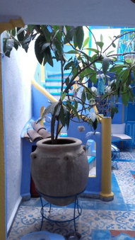 Hôtel Dar Terrae, Chefchaouene, Morocco