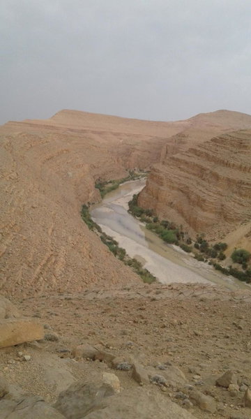 Écologie oasis tafilalt CHEZ L' HABITANT, Er Rachidia, Morocco