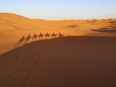 Bivouac Erg Chegaga Nomademoi, El Gouera, Morocco