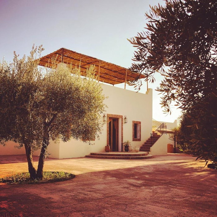 Upupa de l’Atlas, Marrakech, Morocco